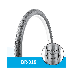 BR-018
